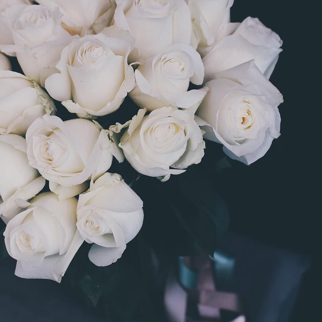 Пион Rose Tulip