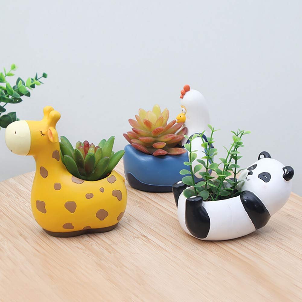 Cactus Pot горшки кактусы Суккуленты