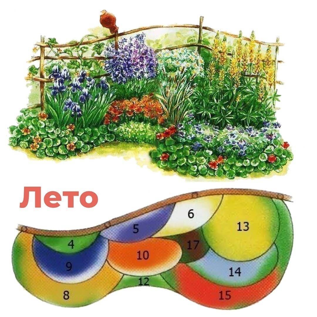 Анютины глазки на клумбе