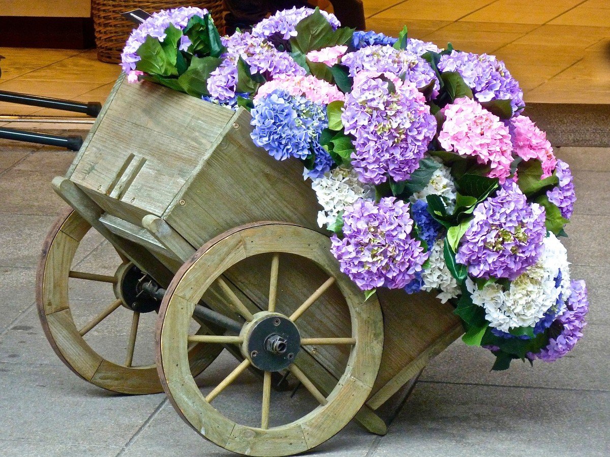 Бочка цветник