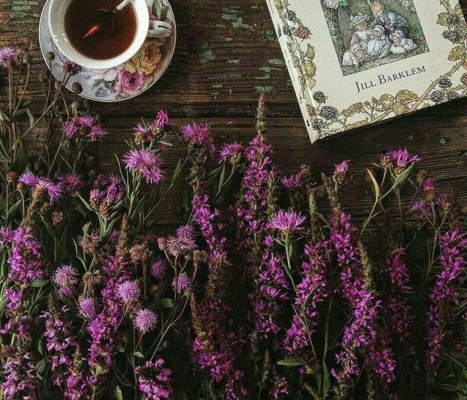 Травяной чай Эстетика