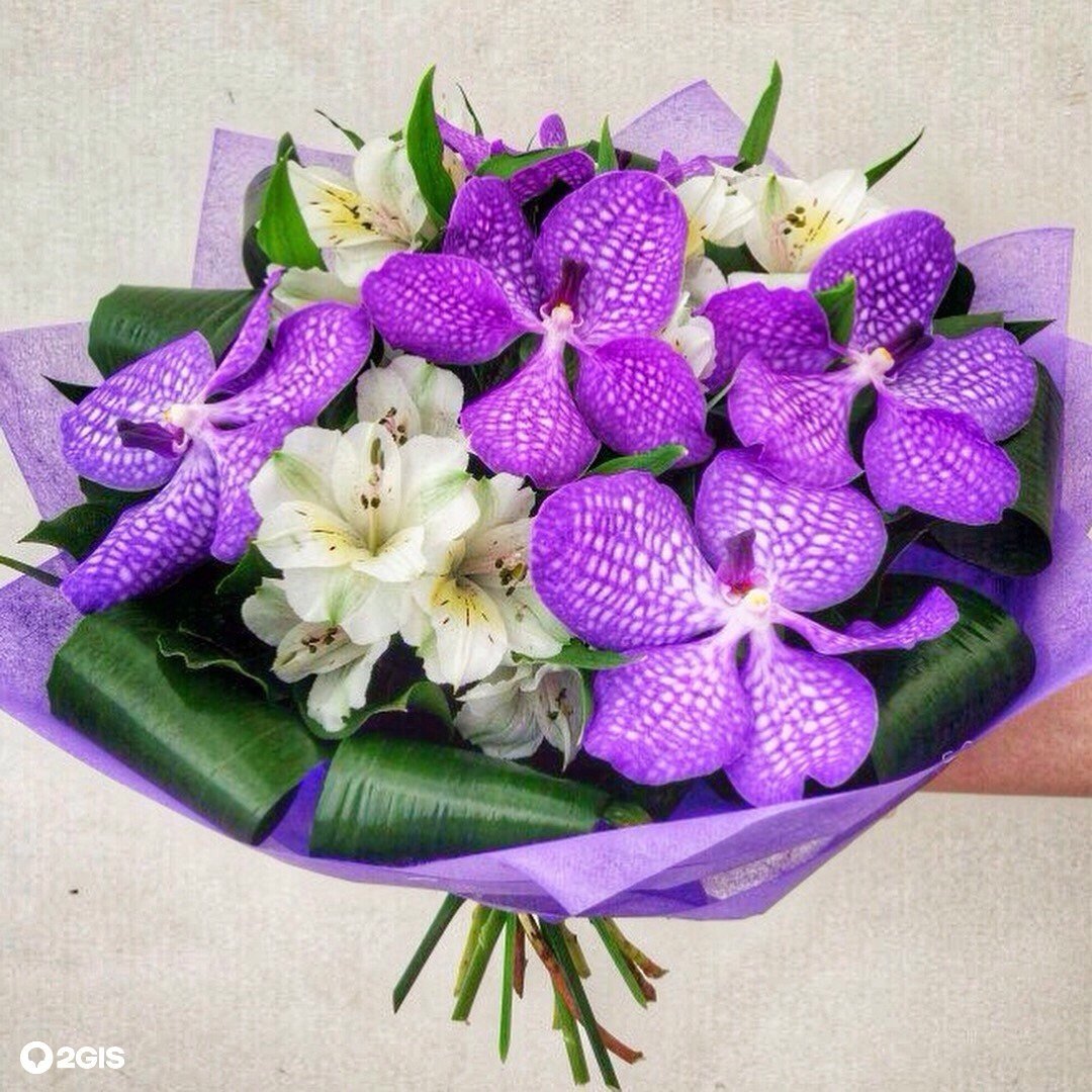 Красивый букет орхидей