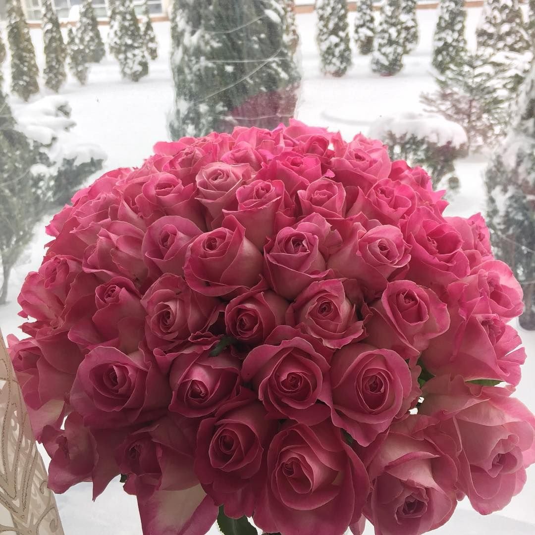 Букет роз зимой