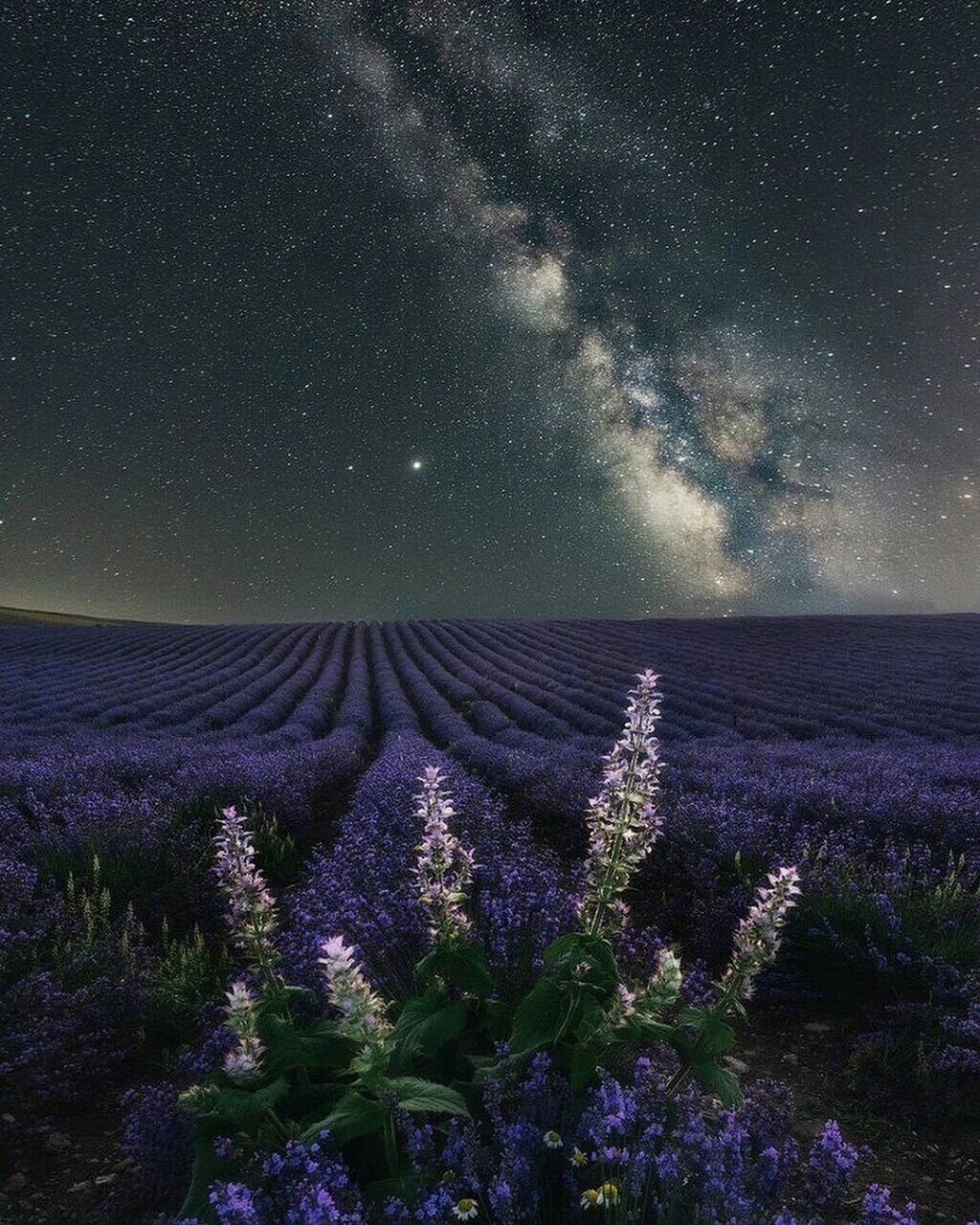 Ночное поле