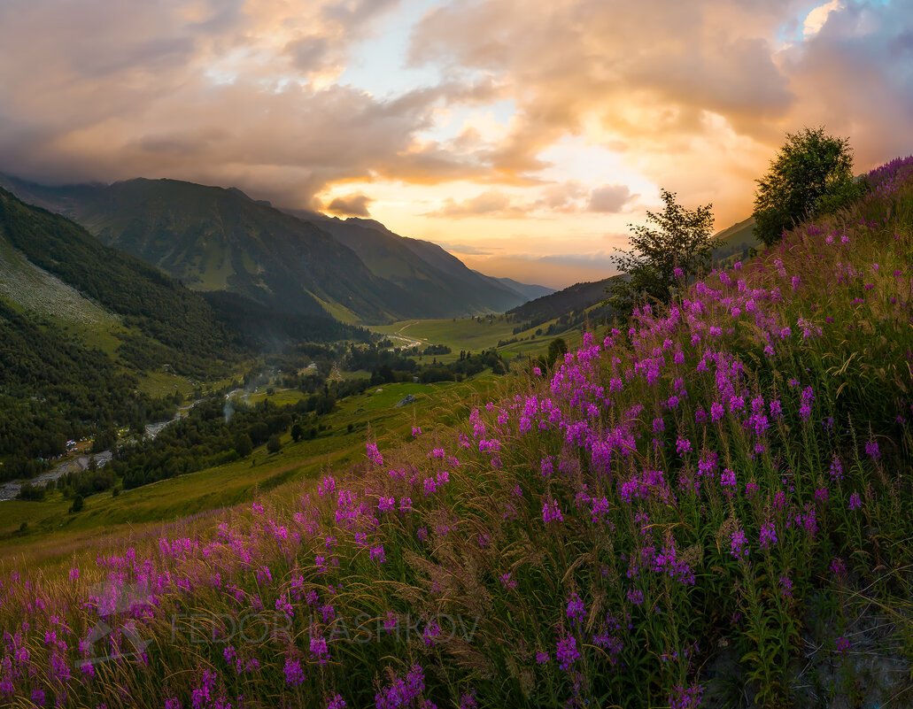 Архыз Альпийские Луга