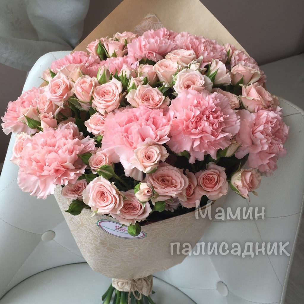 Диантус пионовидные
