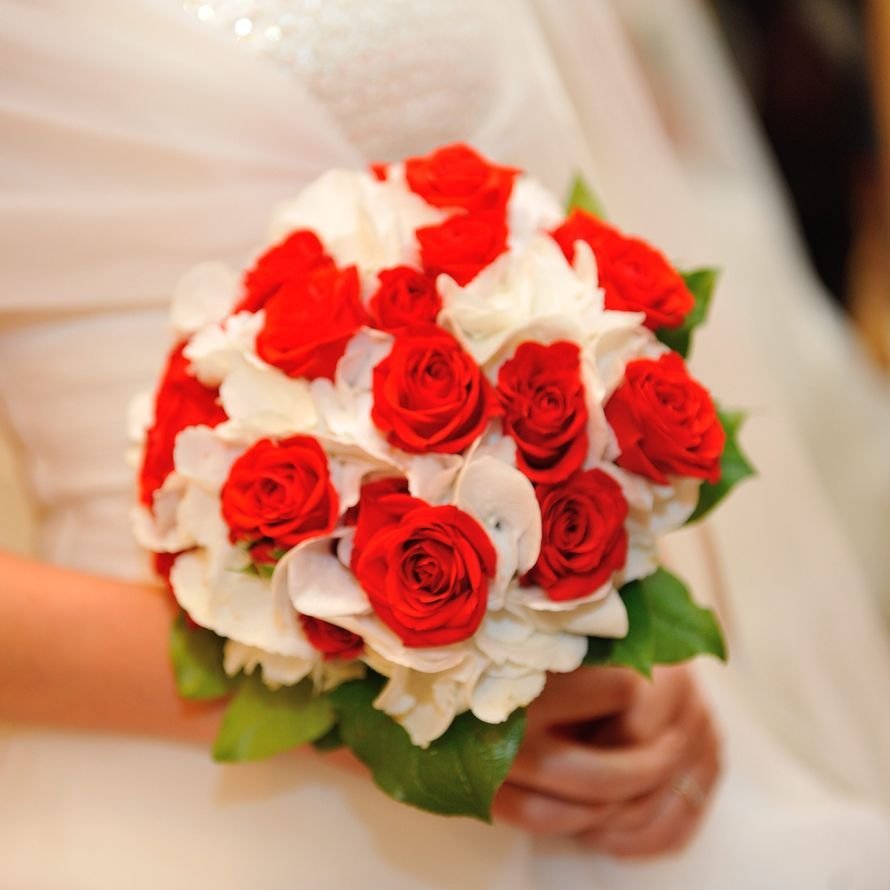 Бело розовый красный букет. Букет невесты 2022 красный. Букет невесты красные розы с белой гортензией. Букет невесты с красными розами.