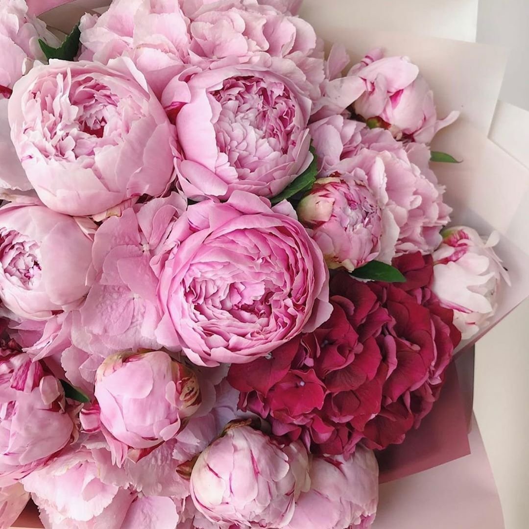 Пион Lavender Bouquet