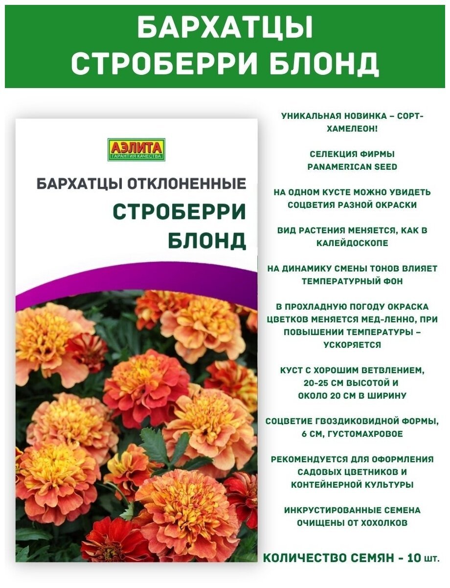 Бархатцы отклоненные Дуранго ред