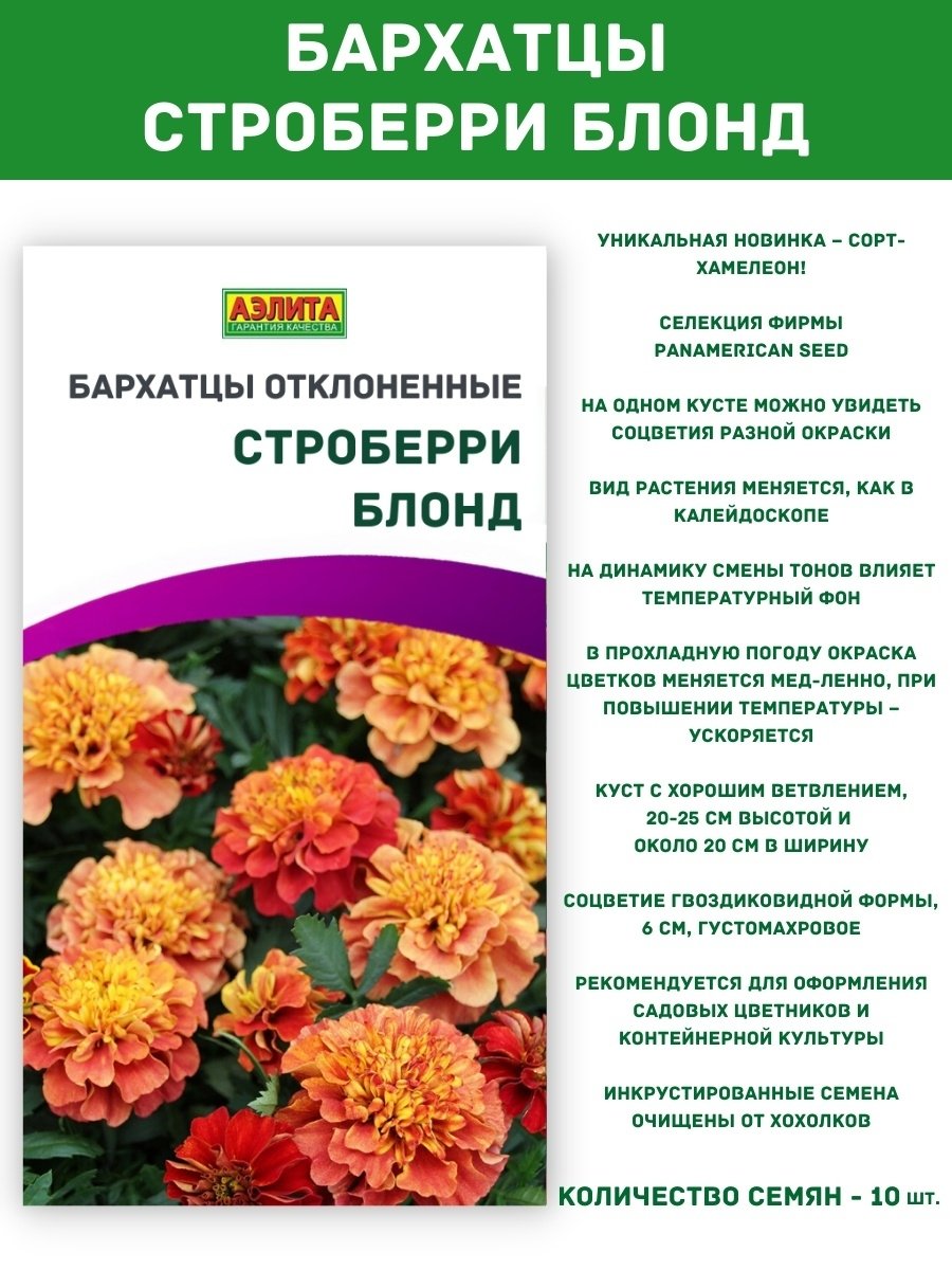 Бархатцы в открытый грунт