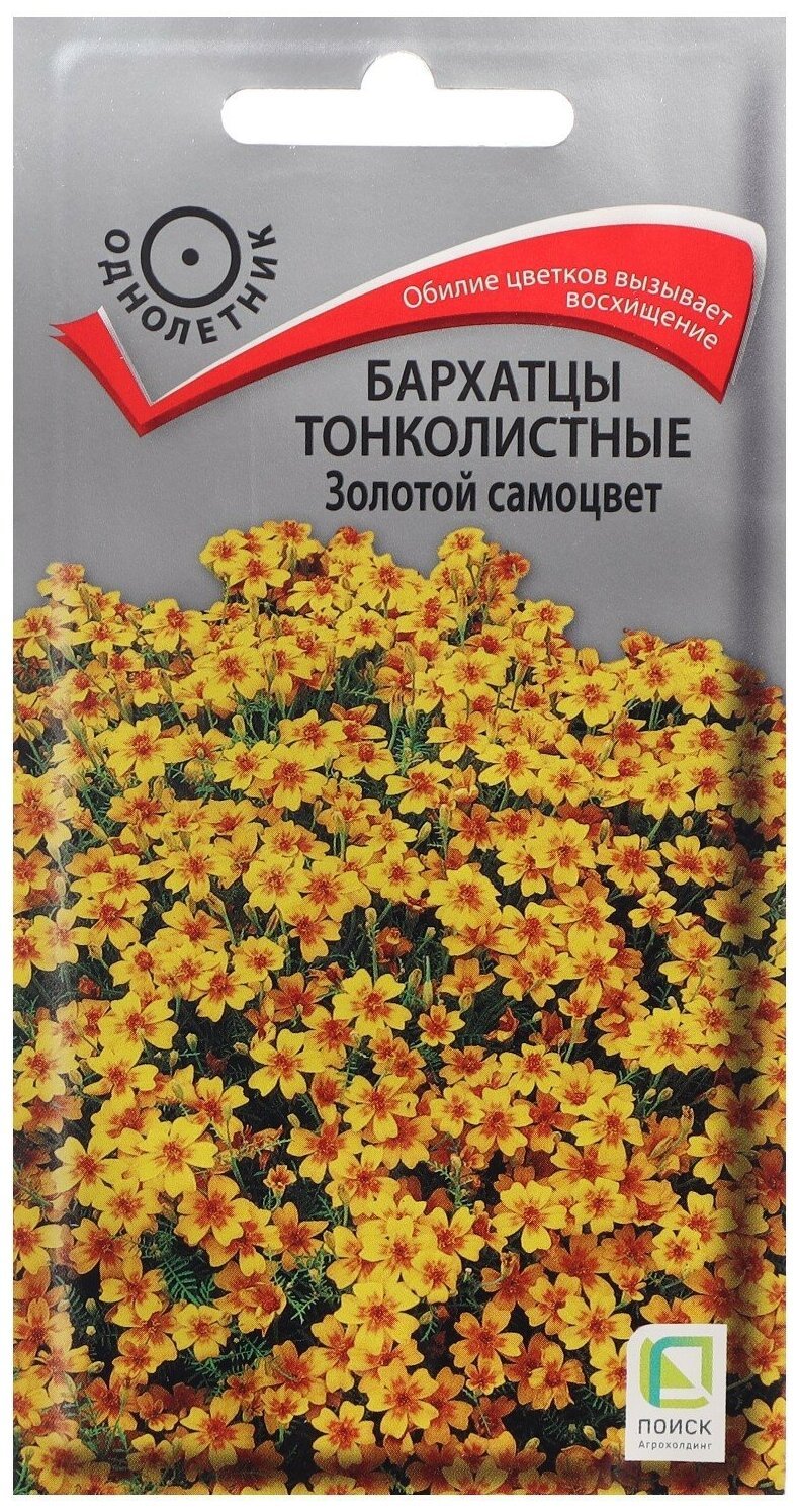Бархатцы Имеретинский Шафран отклоненные