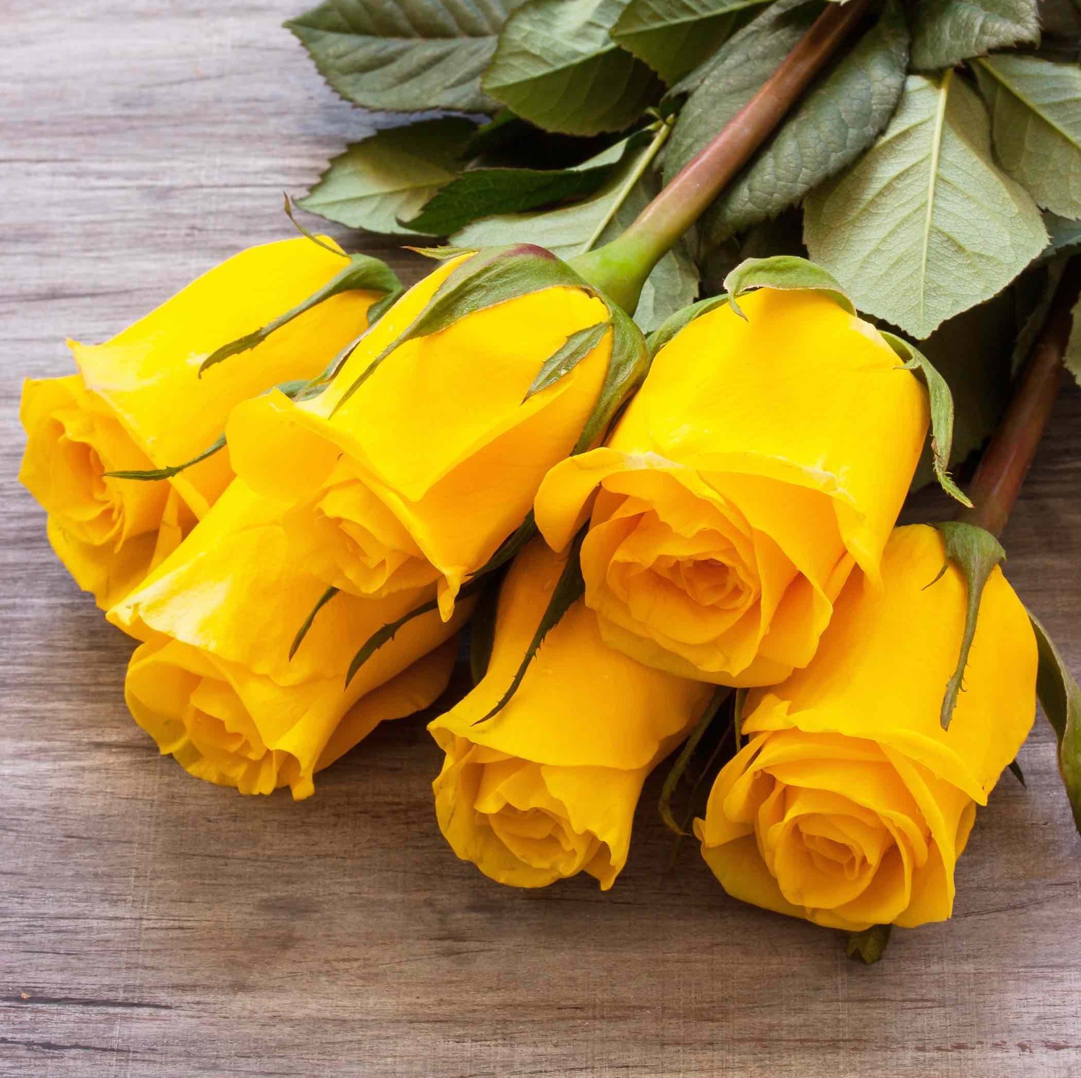 Желтые розочки. Желтые розы. Желтый цвет. Букет желтых цветов. Букет желтых роз.