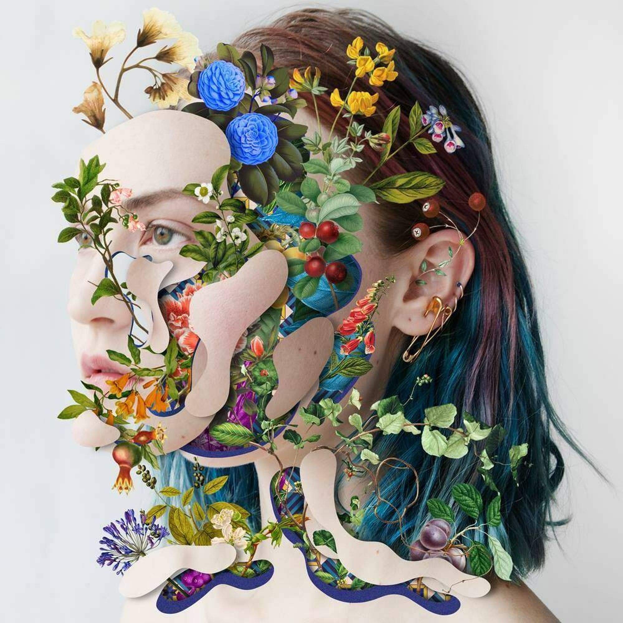 Интересные картины. Марсело Монреаль художник. Леся Сафина. Art-collage группа. Лицо из цветов.