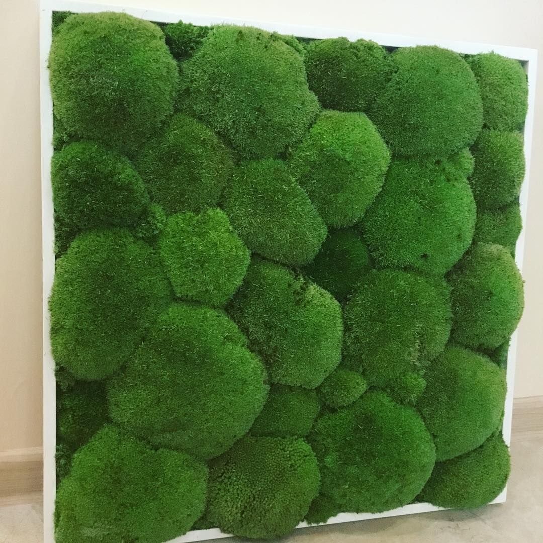 Цветной мох для декора