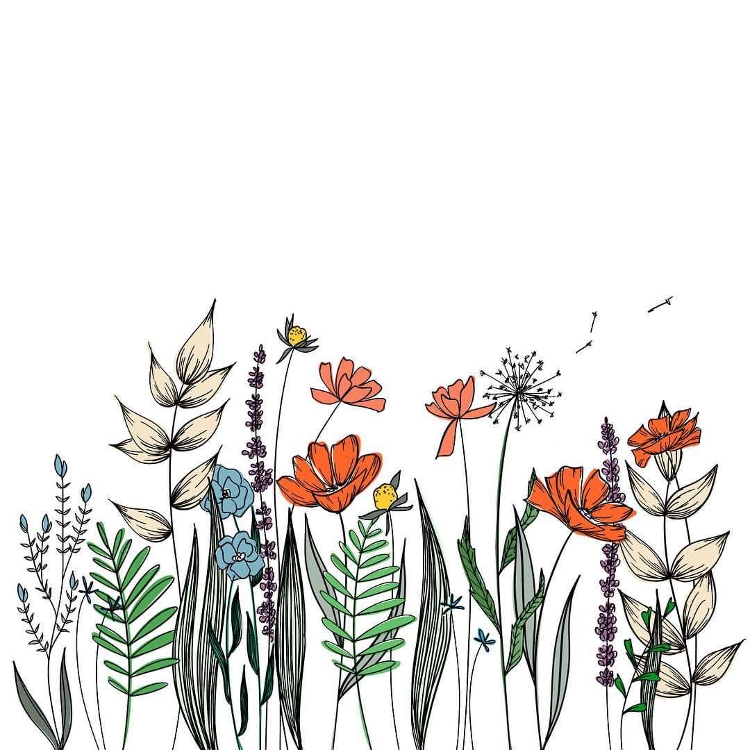 Ботанические цветочные иллюстрации Wildflowers