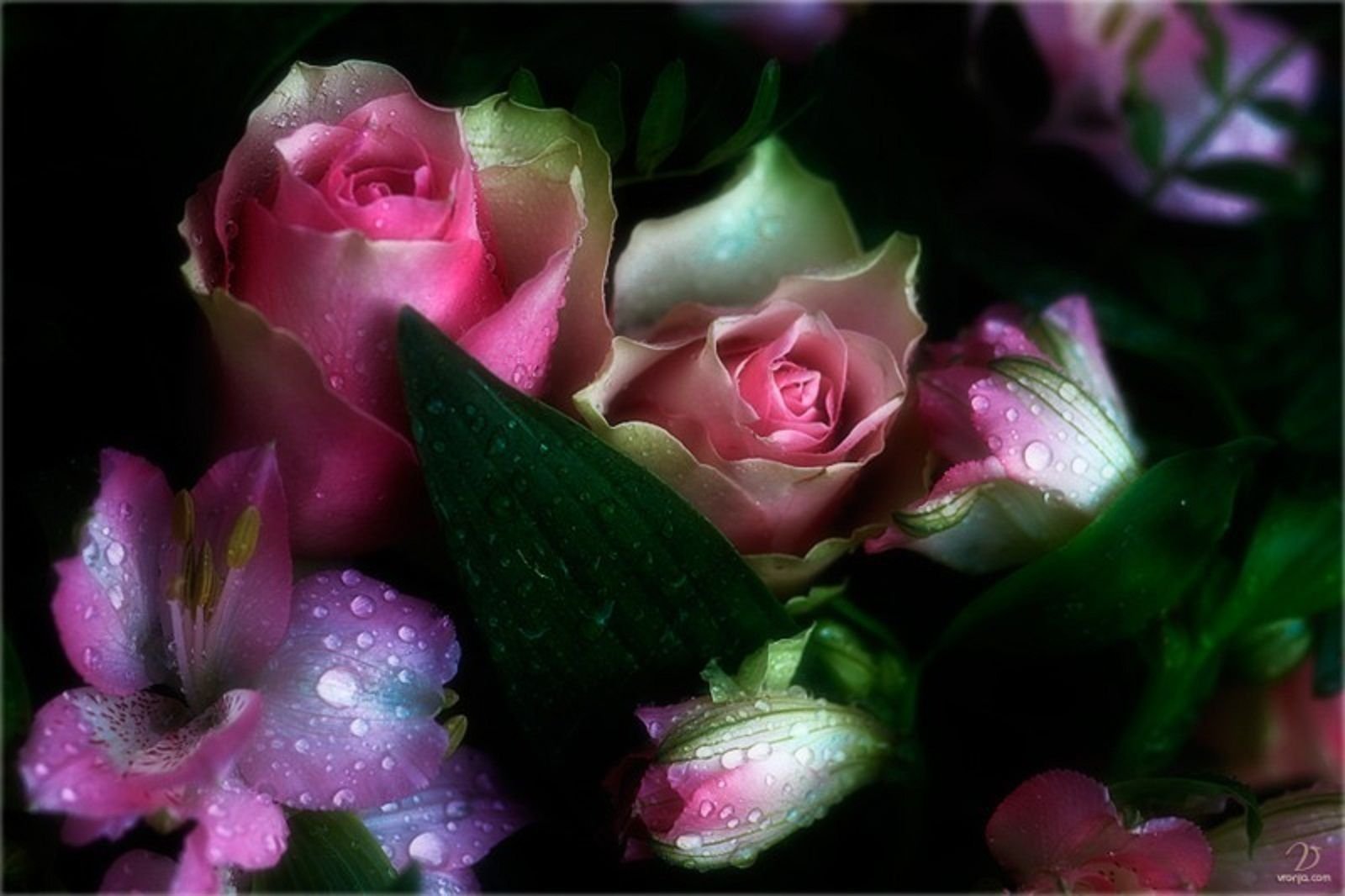 Красивая гиф видео. Красивые цветы. Переливающиеся цветы. Очень красивые цветы. Сверкающие букеты.