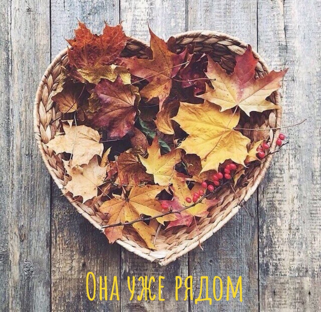Пионы флэтлэй