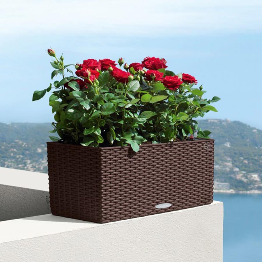 Кашпо Lechuza Balconera Cottage 50