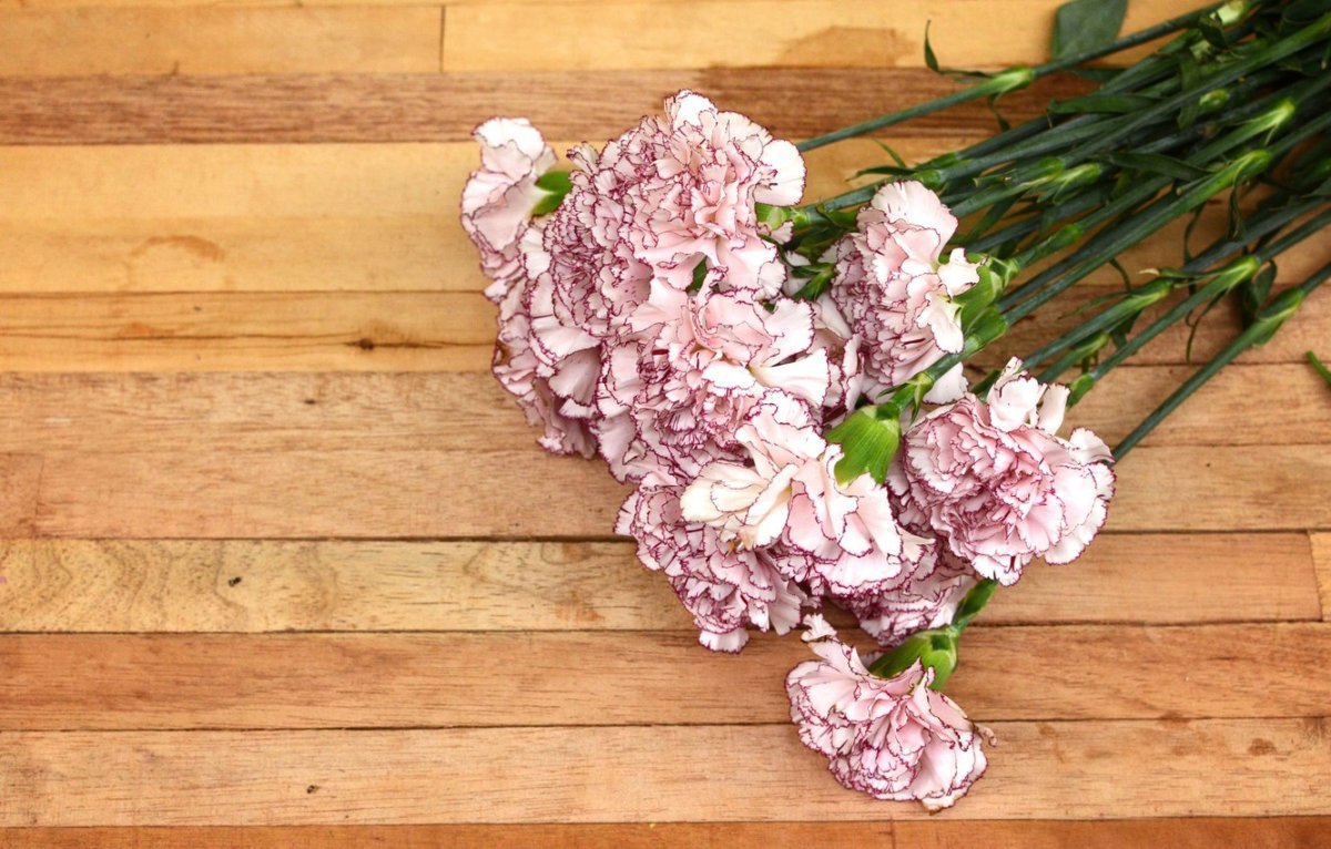 Букет из гвоздик
