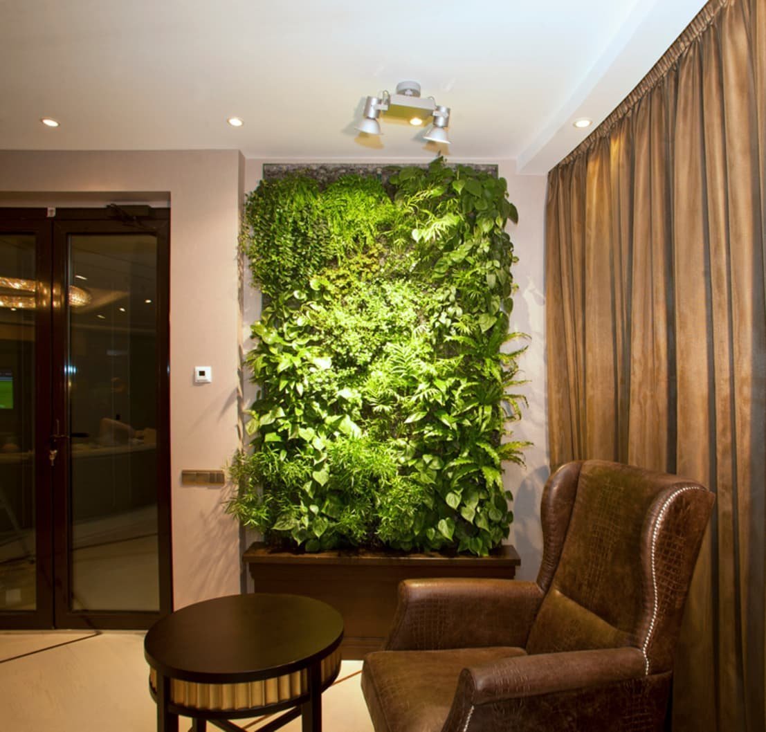 Живые зеленые стены natural Greenwalls