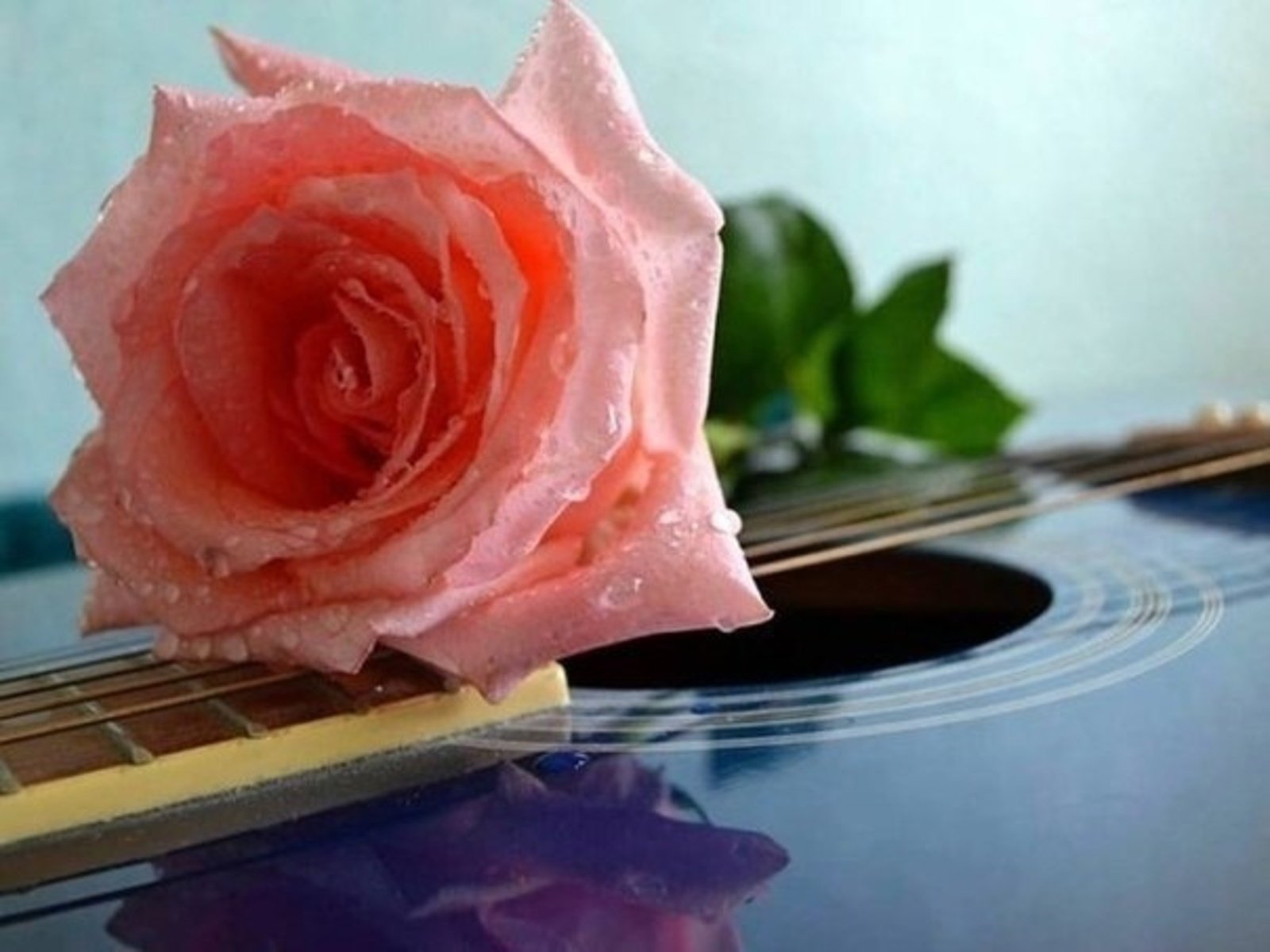Нежная песня без слов. Гитара цветы. Гитара и букет цветов. Гитара с цветами.