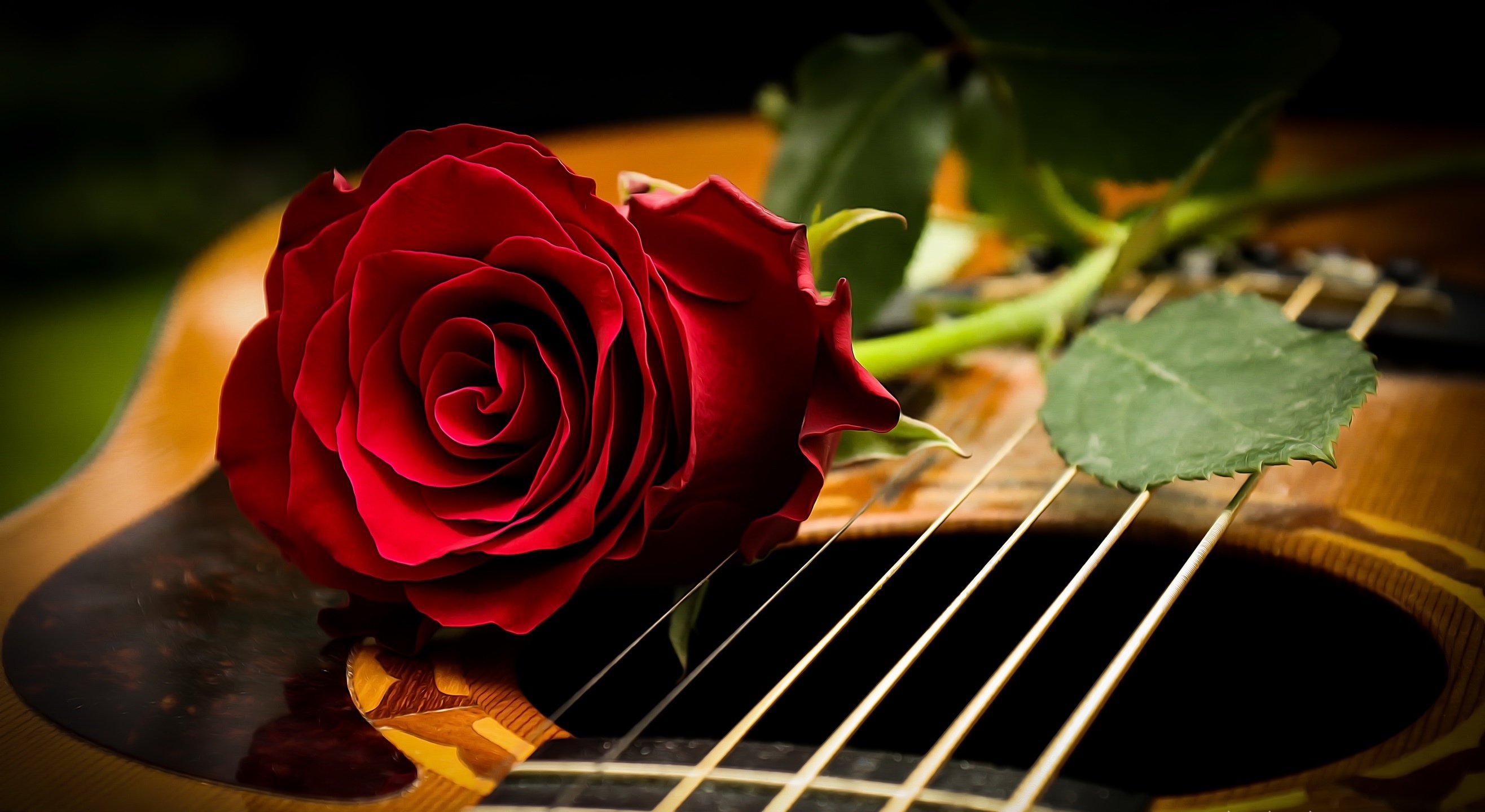 Ты самая красивая на гитаре. Гитара цветы. Гитара и букет цветов. Цветы для музыканта.