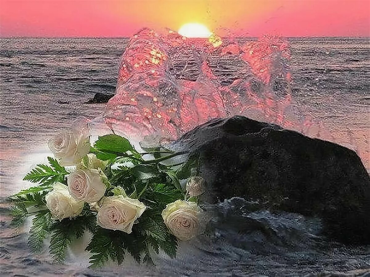 Самые красивые цветы много