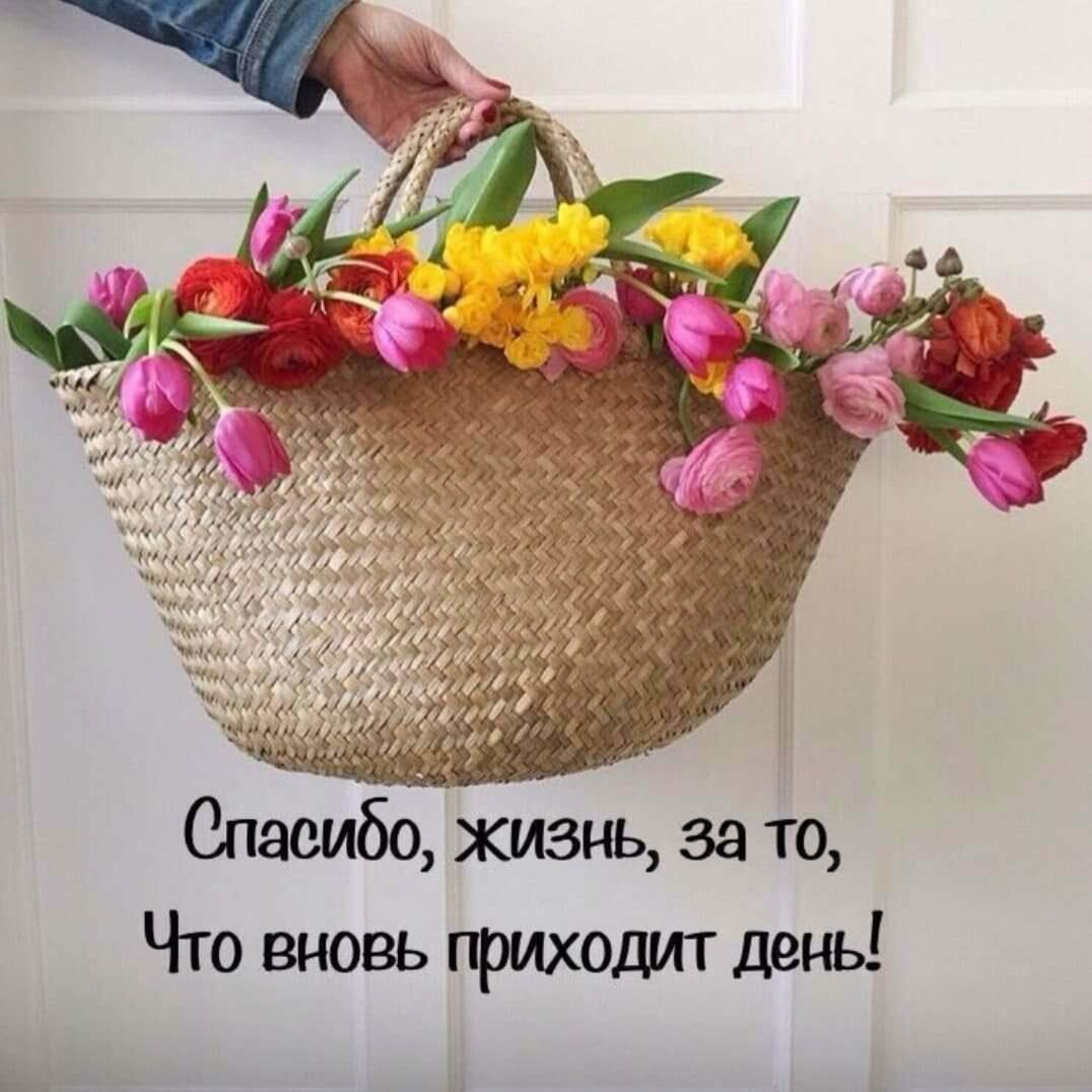 Позитивные открытки на каждый день