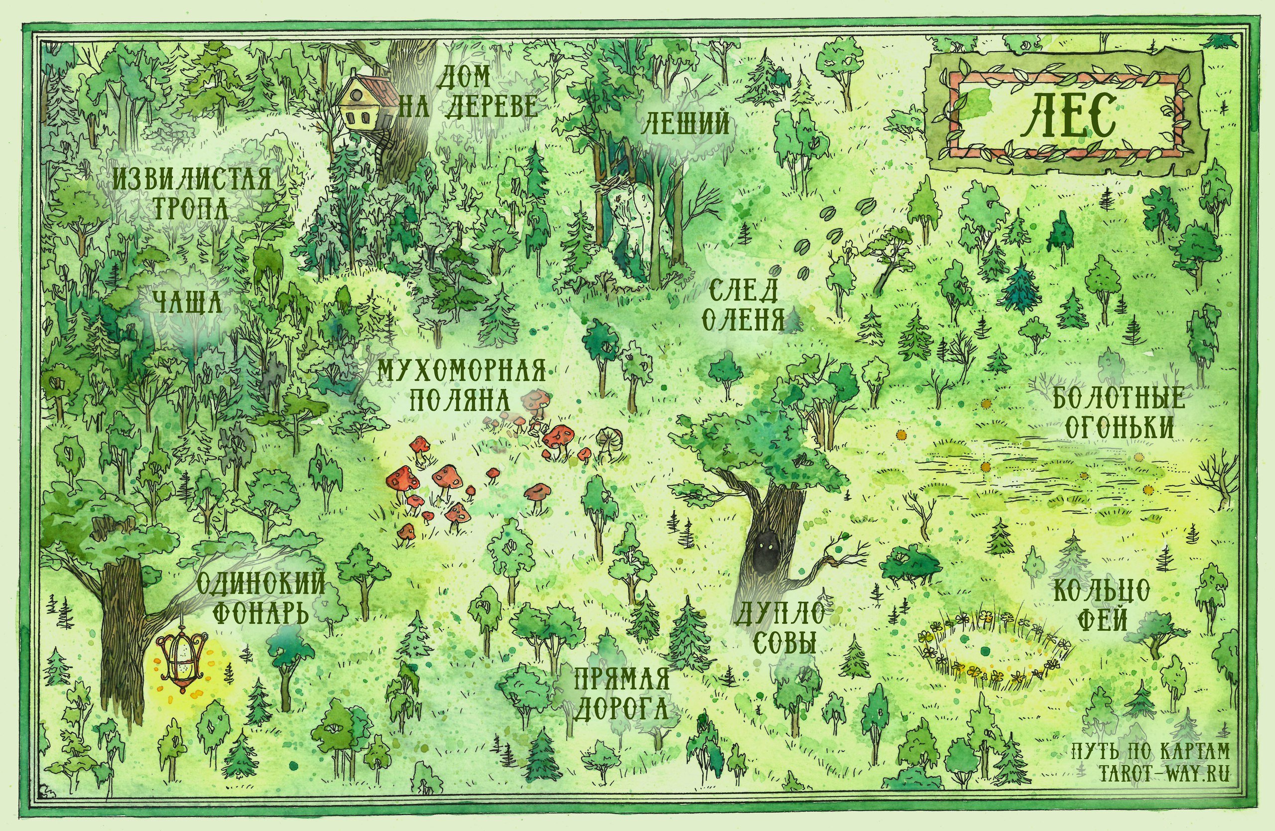 Карты с изображением местности. Карта леса. Сказочная карта. Карта волшебного леса. План карта леса.