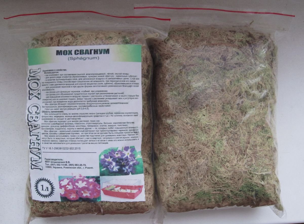 Мох сфагнум Макросъемка