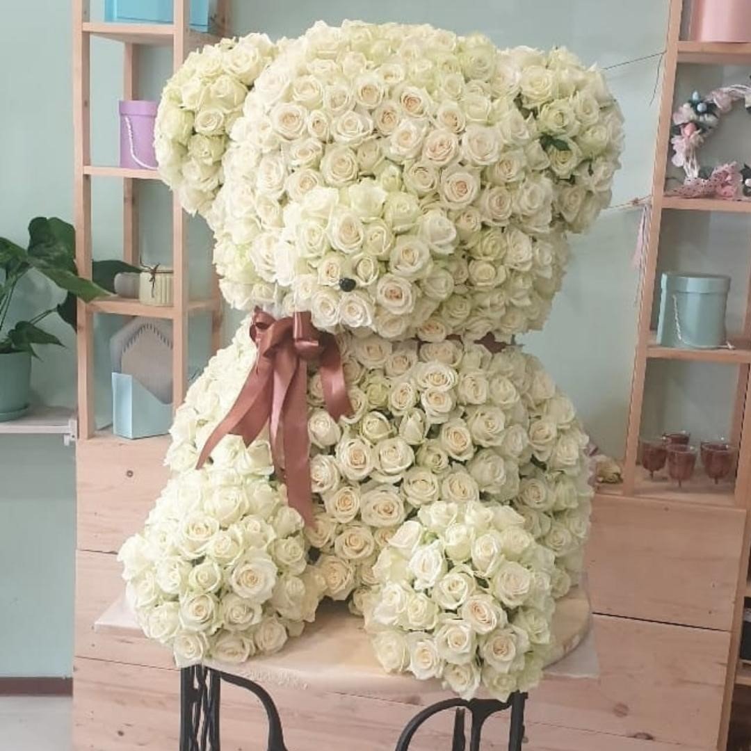 Хризантема плюшевый мишка