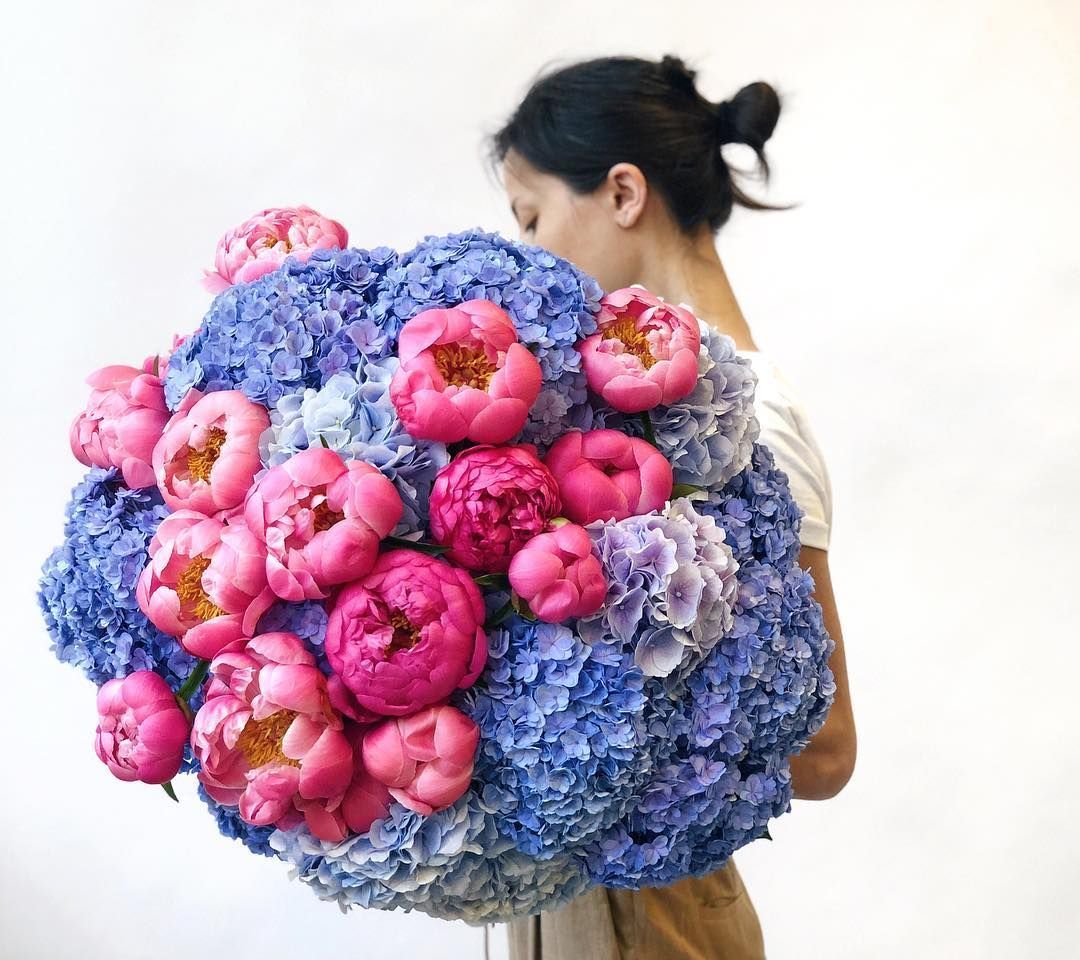 Ranunculus Clooney Nerone