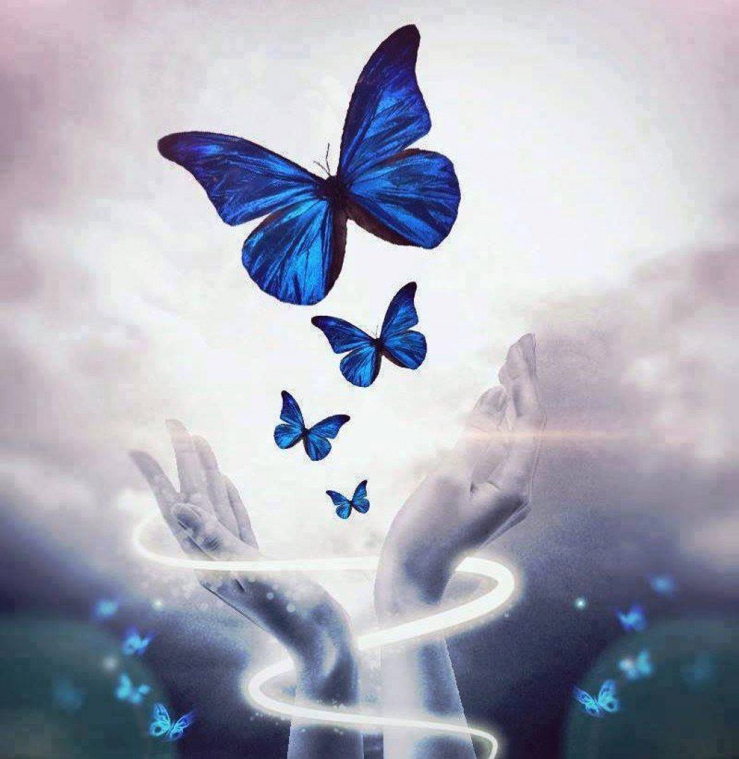 Аватарки с бабочками. Волшебные бабочки. Бабочки картинки красивые. Волшебство бабочки. Красивые волшебные бабочки.