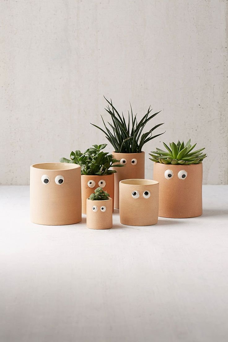 Cactus Pot горшки кактусы Суккуленты