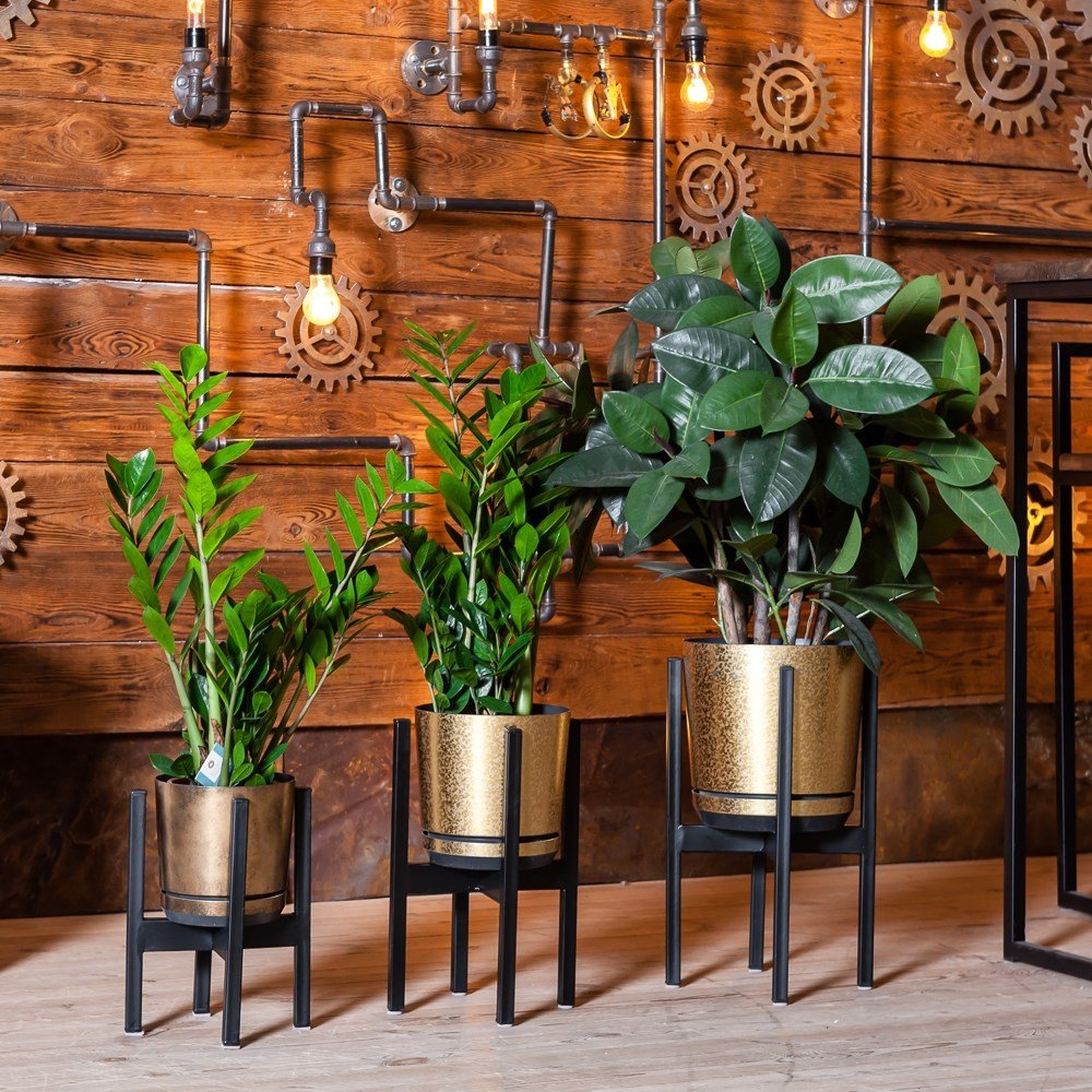 Подставка для цветов Quadro Plant