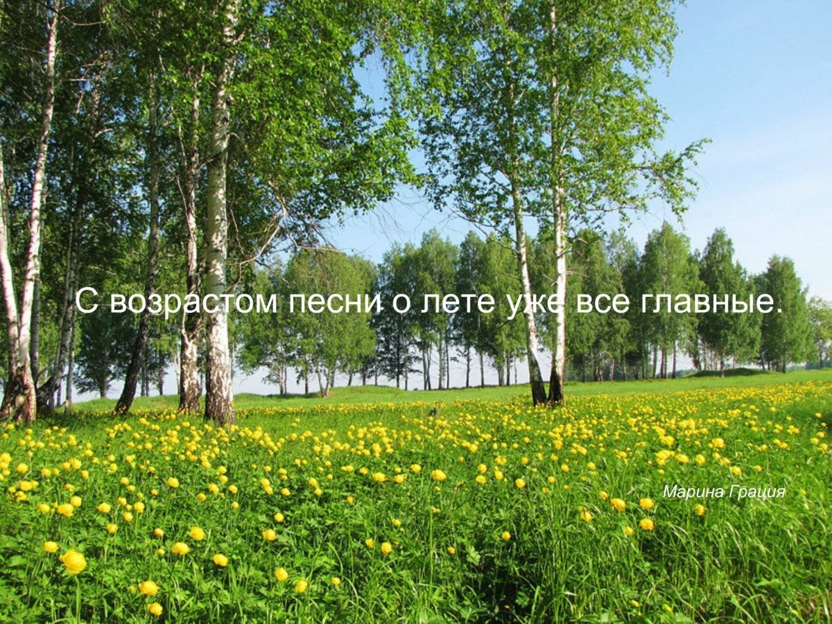 Природа Якутии березы