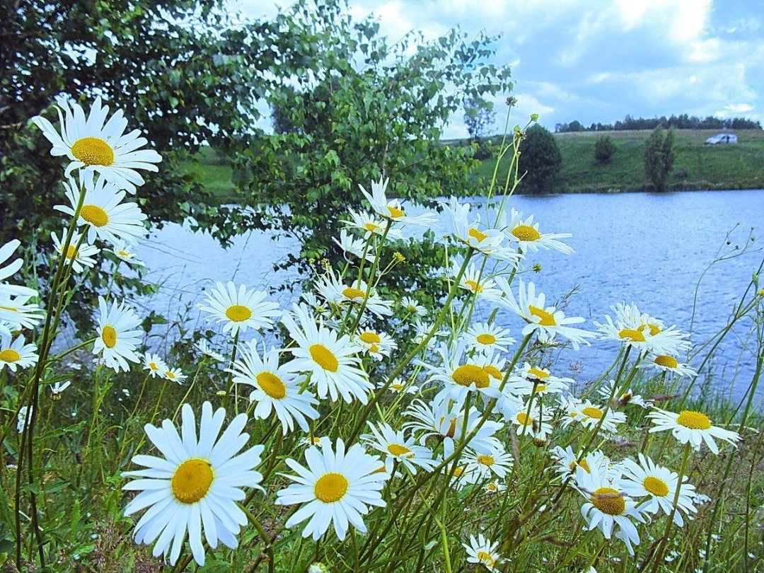 Озеро Березка Нижегородская