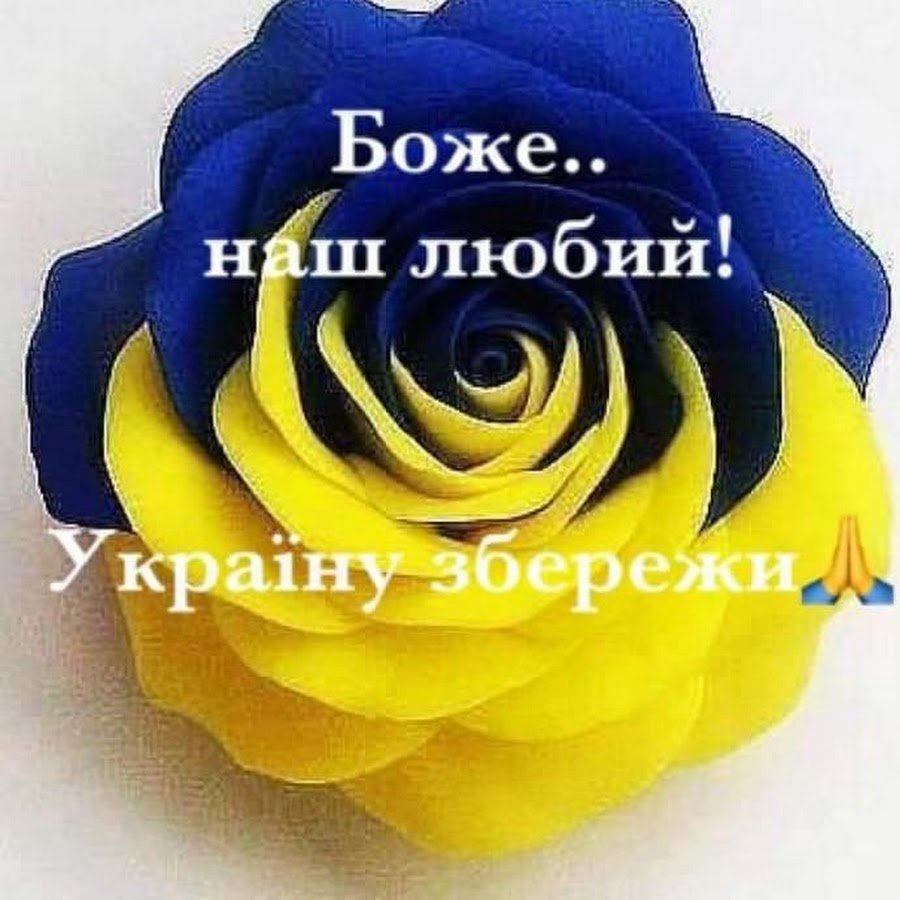 Желтые и голубые розы