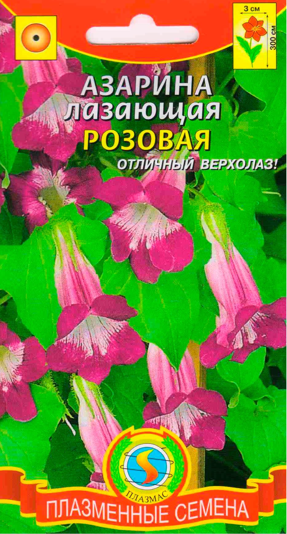 Анна Азарина