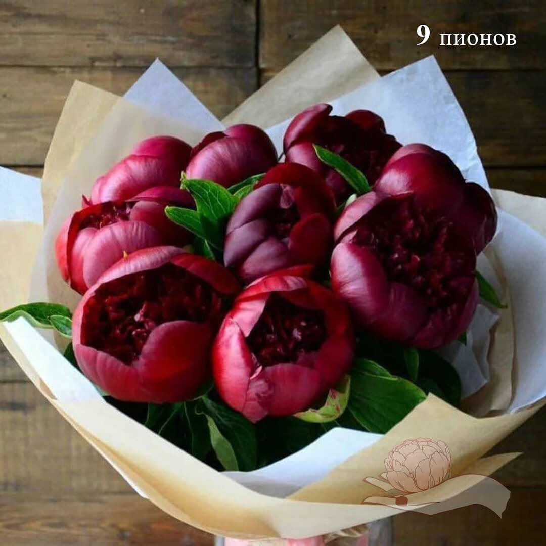Пионы 9 шт букет