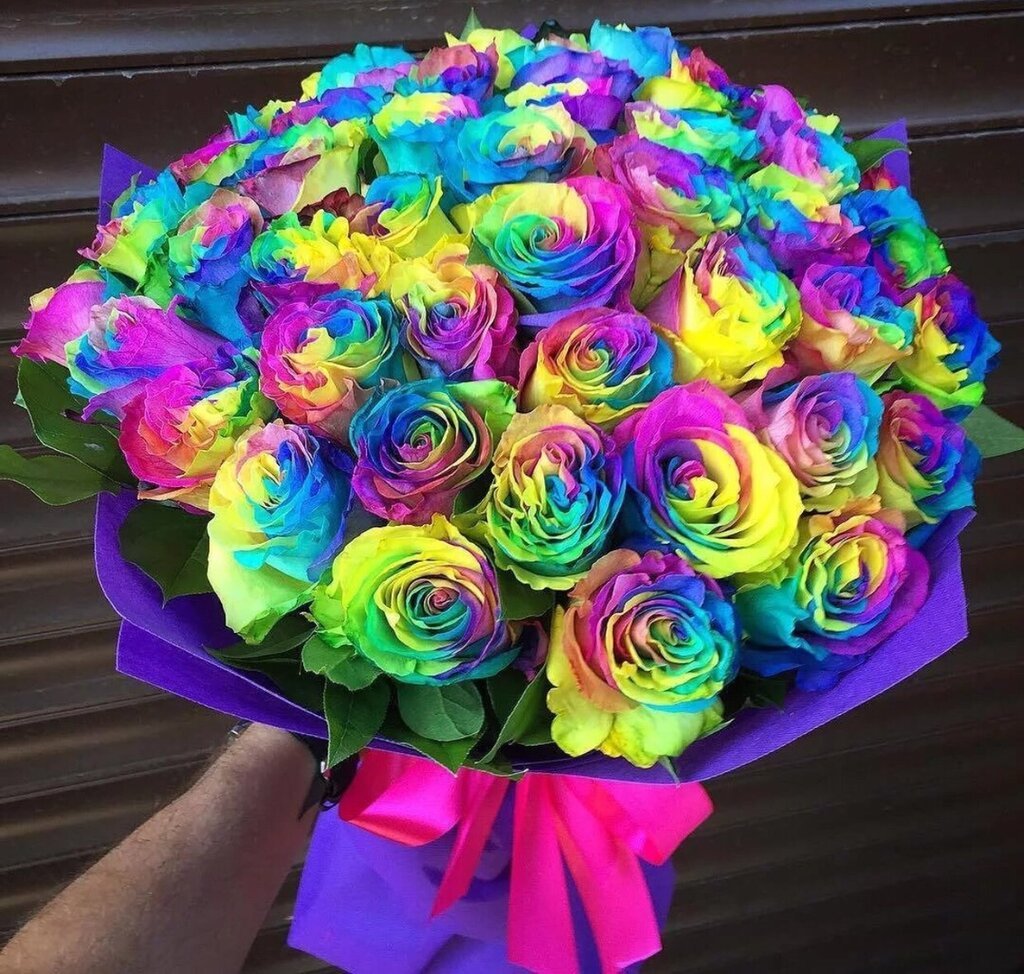 Радужная роза Мондиаль