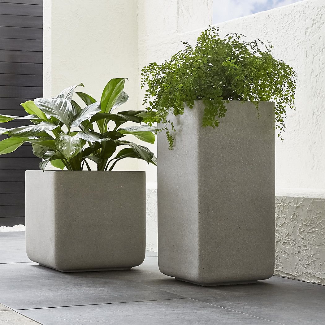 Cactus Pot горшки кактусы Суккуленты