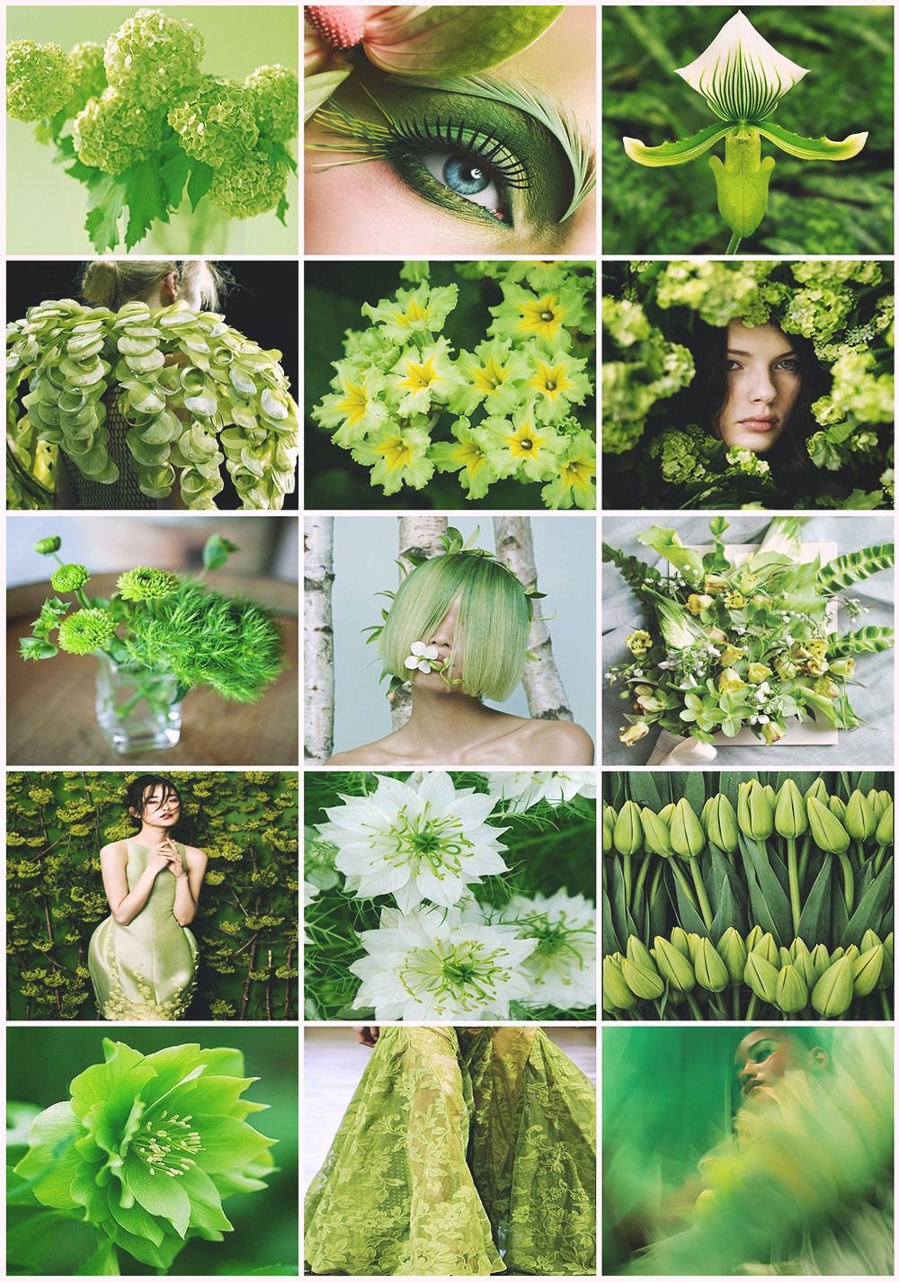 Green Lime aesthetic