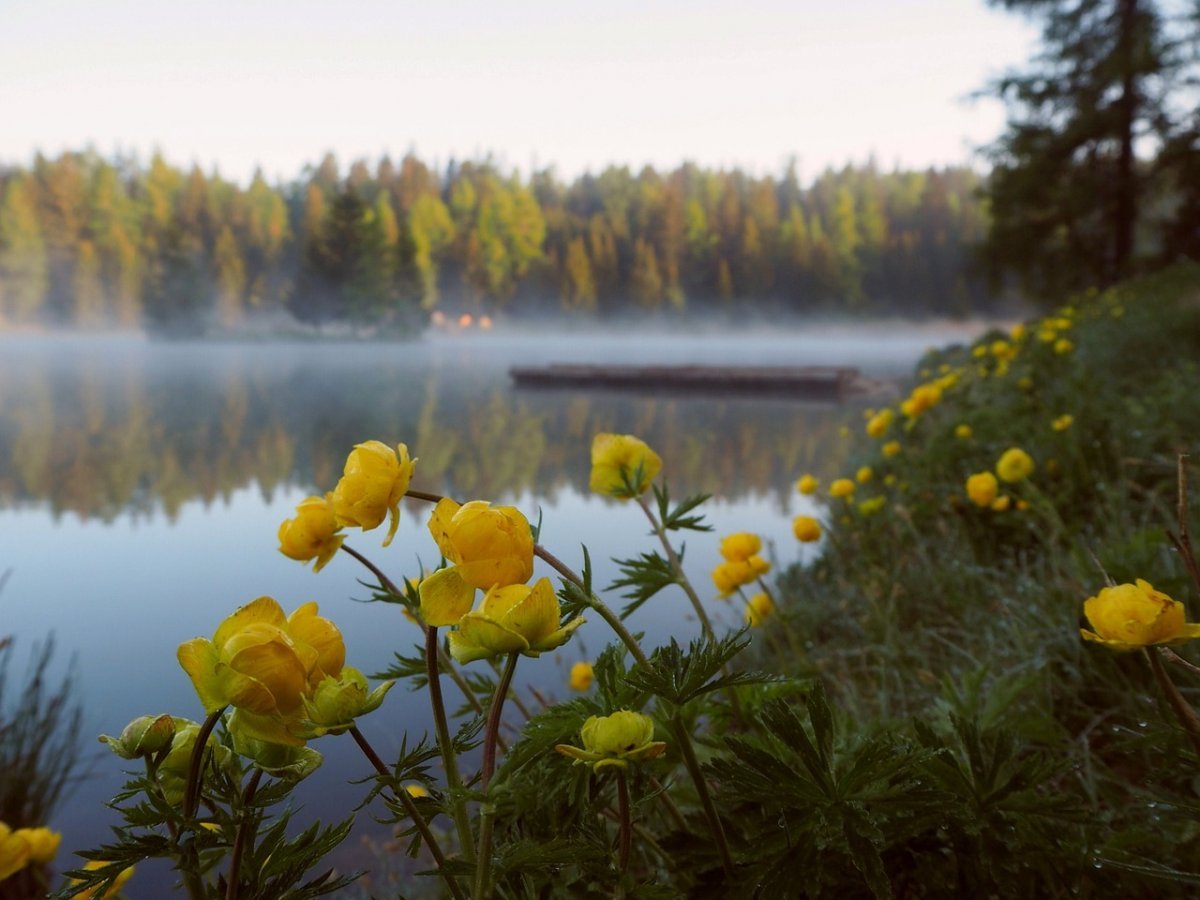 Красивые природа горы лето