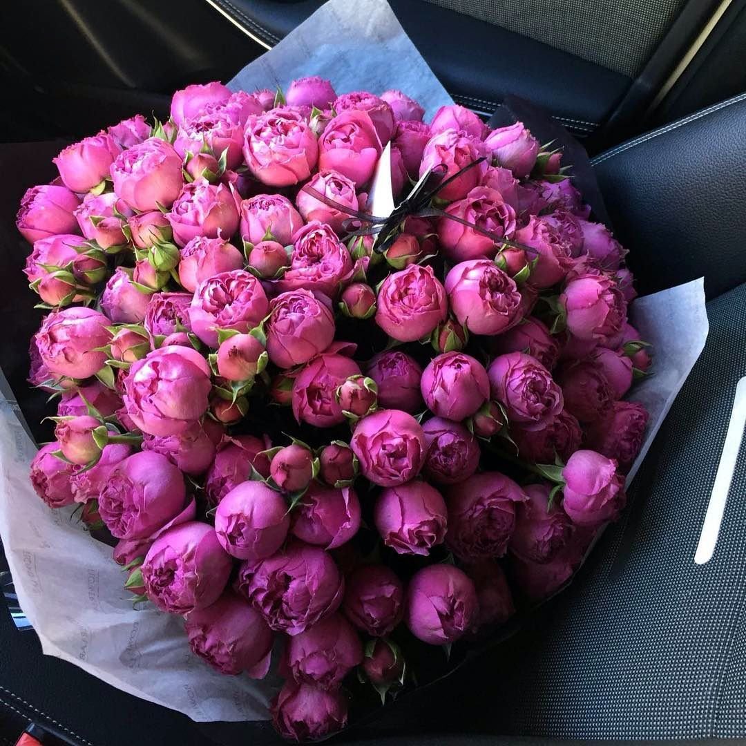 Мейсон Флер пионы