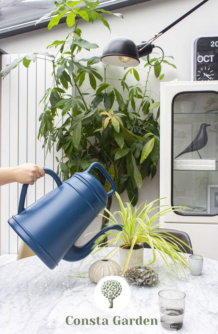 Lungo Blue Xala лейка