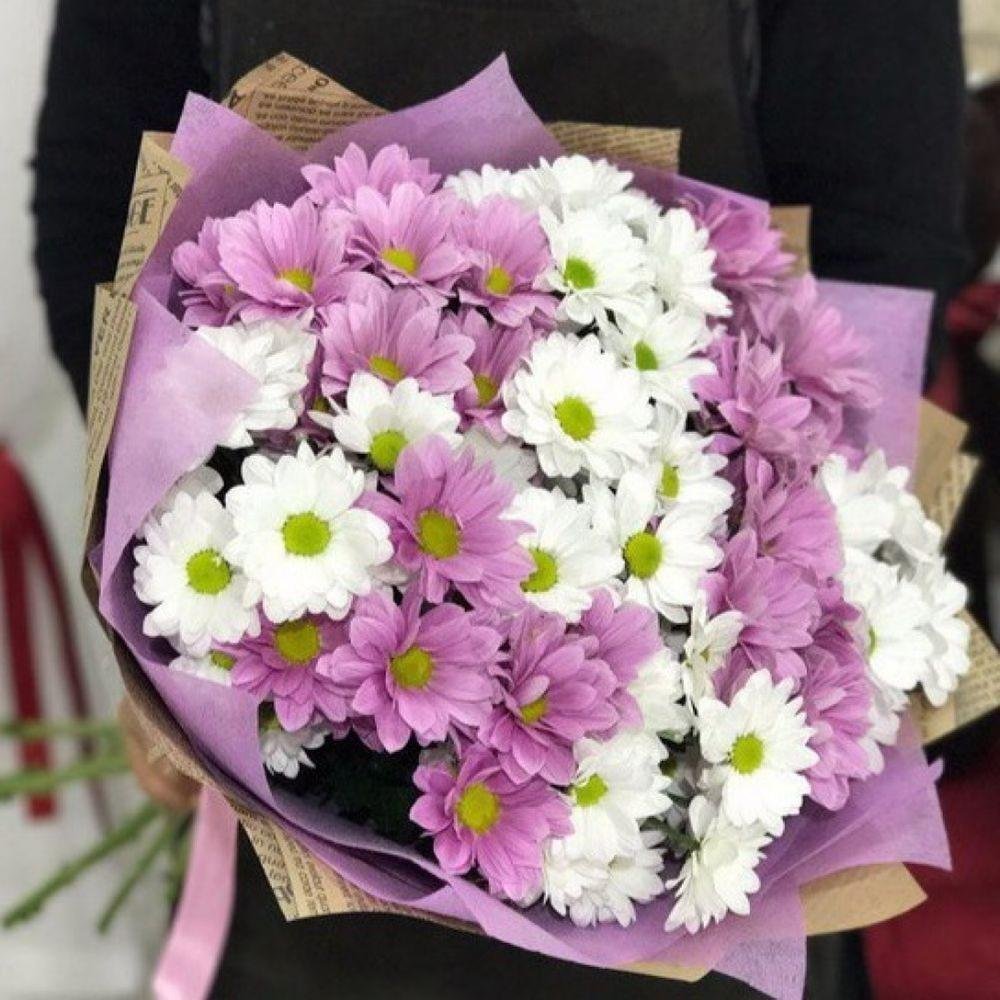 Микс хризантем 15 шт.