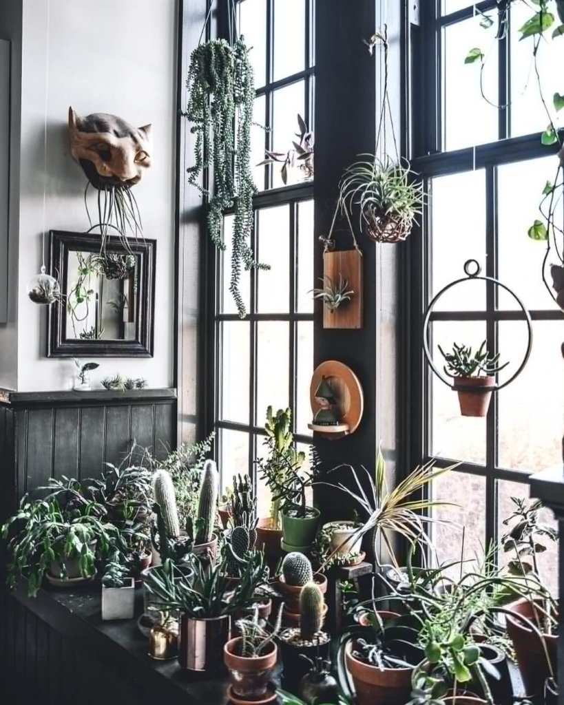 Urban Jungle стиль