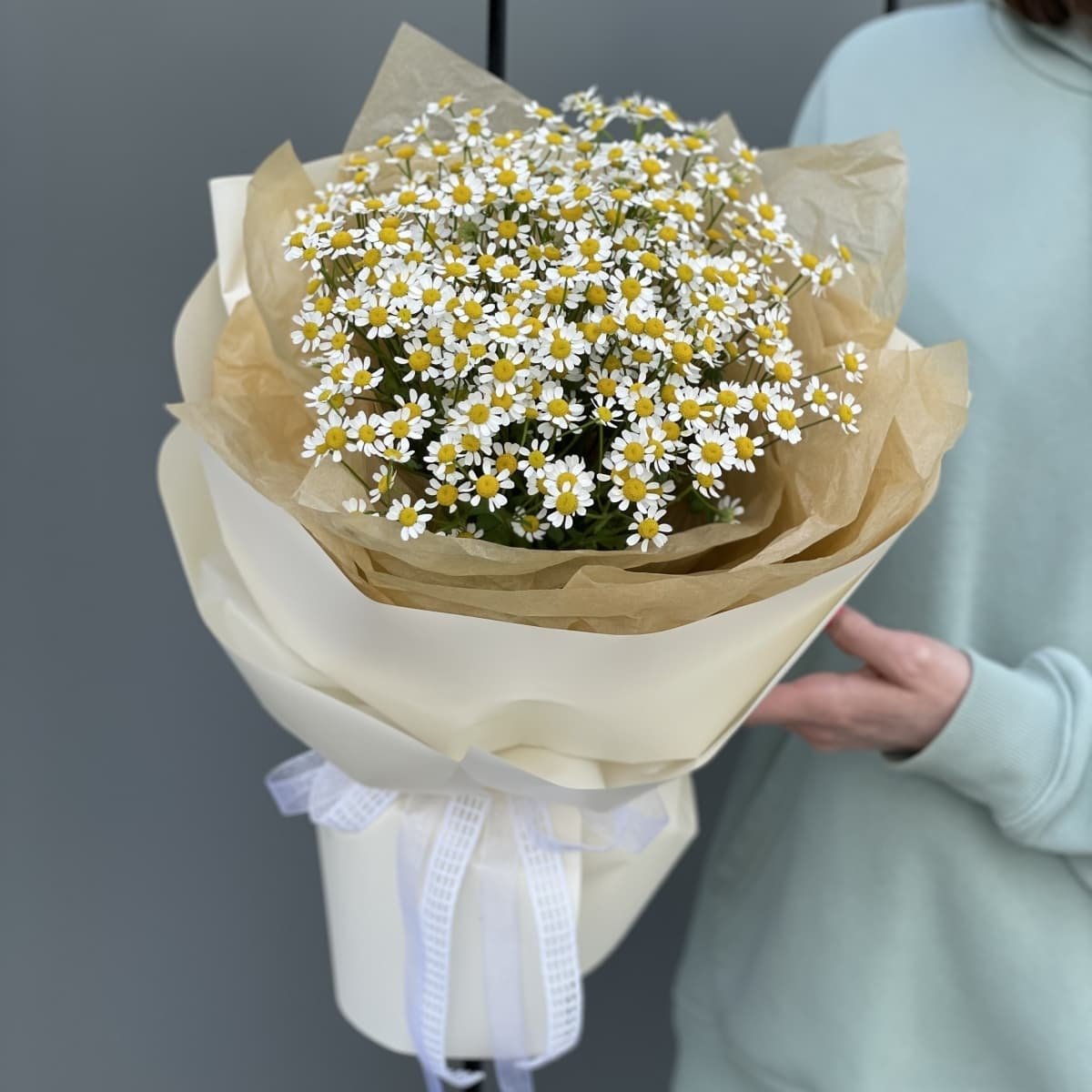 Танацетум матрикария