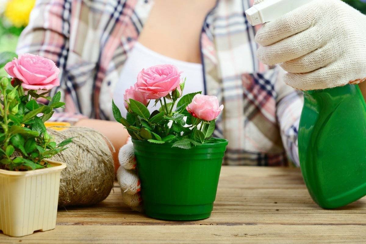 Ухаживание за растениями